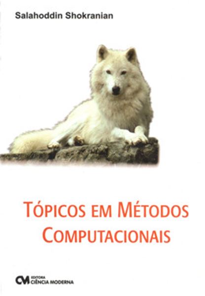 Picture of TOPICOS EM METODOS COMPUTACIONAIS