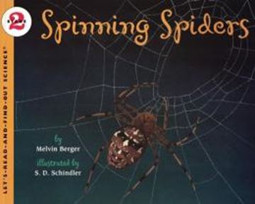 Imagem de SPINNING SPIDERS - STAGE 2 (LRFOS)