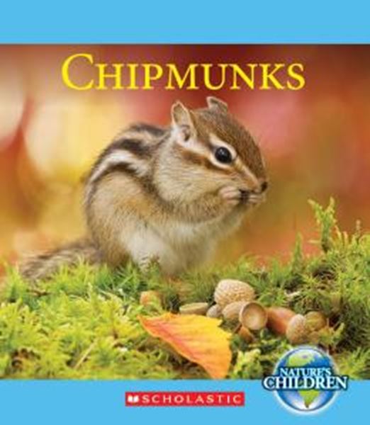 Picture of CHIPMUNKS