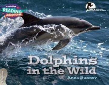 Imagem de DOLPHINS IN THE WILD - 3 EXPLORERS