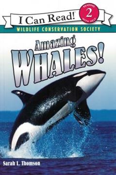 Imagem de JOURNEYS AMAZING WHALES UNIT 4 GRADE 1