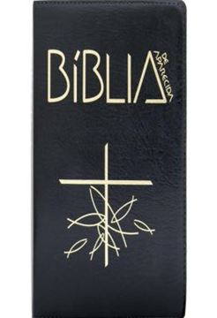 Imagem de BIBLIA DE APARECIDA - LETRA GRANDE - MARROM