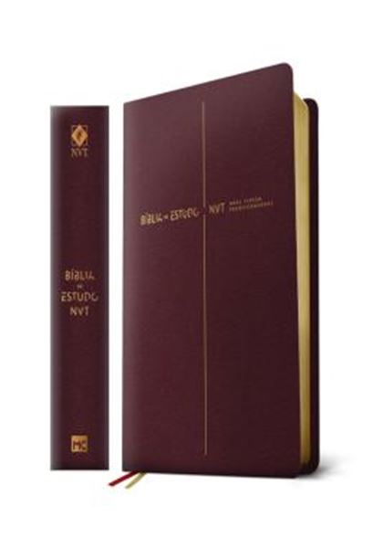 Picture of BIBLIA DE ESTUDO NOVA VERSAO TRANSFORMADORA