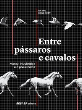 Imagem de ENTRE PASSAROS E CAVALOS