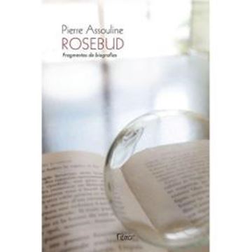 Imagem de ROSEBUD - FRAGMENTOS DE BIOGRAFIAS