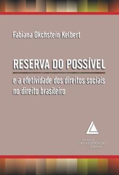 Imagem de RESERVA DO POSSIVEL E A EFETIVIDADE DOS DIREITOS SOCIAIS NO DIREITO BRASILEIRO