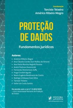 Imagem de PROTECAO DE DADOS - FUNDAMENTOS JURIDICOS