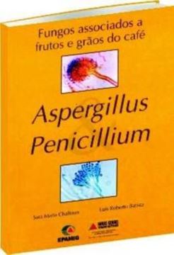 Imagem de FUNGOS ASSOCIADOS A FRUTOS E GRAOS DO CAFE - ASPERGILLUS PENICILLIUM