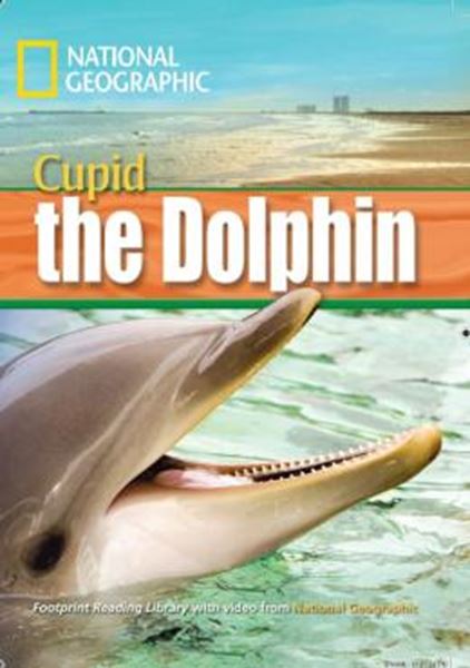 Picture of CUPID THE DOLPHIN - AMERICAN ENGLISH - LEVEL 4 - 1600 B1