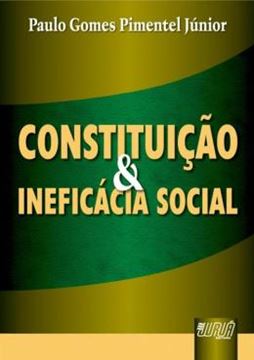 Imagem de CONSTITUICAO & INEFICACIA SOCIAL