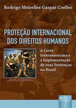 Imagem de PROTECAO INTERNACIONAL DOS DIREITOS HUMANOS