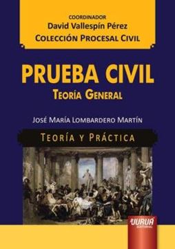 Imagem de PRUEBA CIVIL - TEORIA GENERAL - TEORIA Y PRACTICA