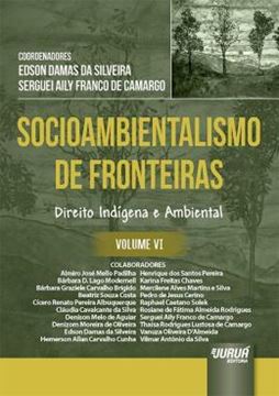 Imagem de SOCIOAMBIENTALISMO DE FRONTEIRAS - VOLUME VI
