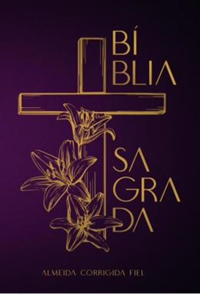 Picture of BIBLIA ACF, SOFT TOUCH, CAPA DURA, CRUZ FLORAL, LEITURA PERFEITA