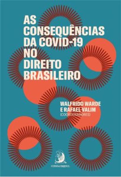 Picture of AS CONSEQUENCIAS DA COVID-19 NO DIREITO BRASILEIRO