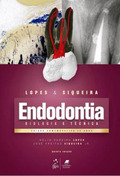 Picture of ENDODONTIA - BIOLOGIA E TECNICA - 5ª ED