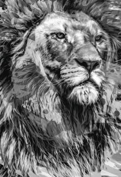 Imagem de BIBLIA NTLH YOUVERSION THE LION P&B