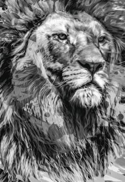 Picture of BIBLIA NTLH YOUVERSION THE LION P&B