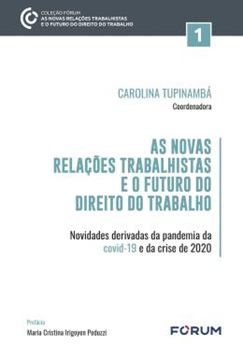 Imagem de AS NOVAS RELACOES TRABALHISTAS E O FUTURO DO DIREITO DO TRABALHO