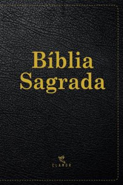 Picture of BIBLIA SAGRADA