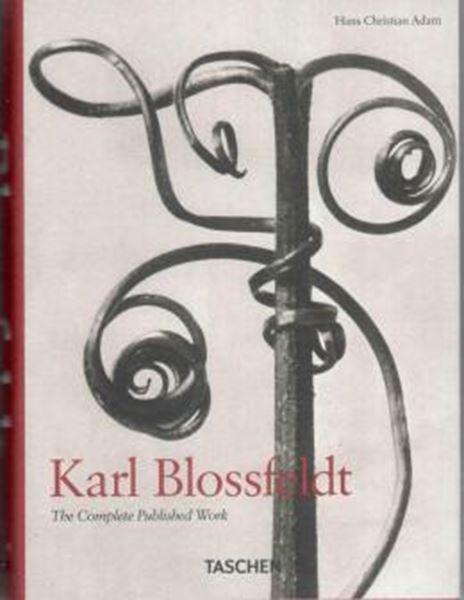 Picture of KARL BLOSSFELDT