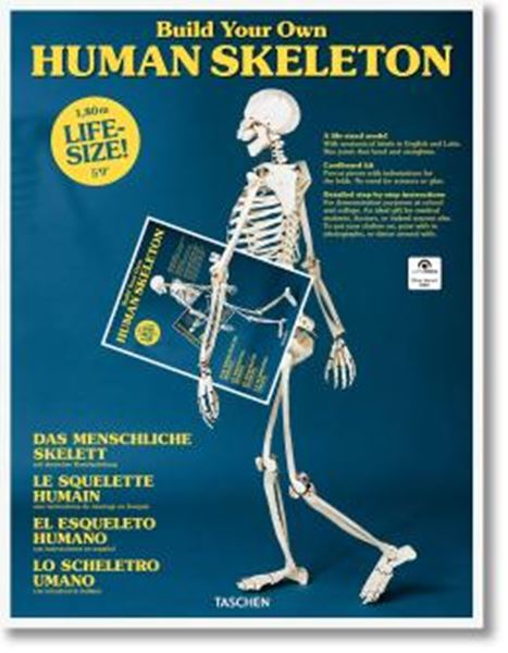 Picture of BUILD YOUR OWN HUMAN SKELETON - LIFE-SIZE!