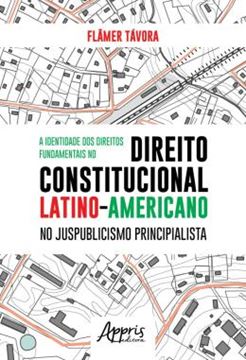 Imagem de A IDENTIDADE DOS DIREITOS FUNDAMENTAIS NO DIREITO CONSTITUCIONAL LATINO-AMERICANO NO JUSPUBLICISMO PRINCIPIALISTA
