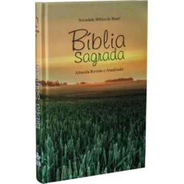Imagem de BIBLIA SAGRADA - CAPA ILUSTRADA CAMPO