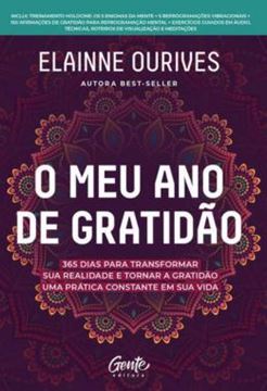 Imagem de O MEU ANO DE GRATIDAO