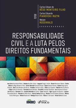 Imagem de RESPONSABILIDADE CIVIL E A LUTA PELOS DIREITOS FUNDAMENTAIS
