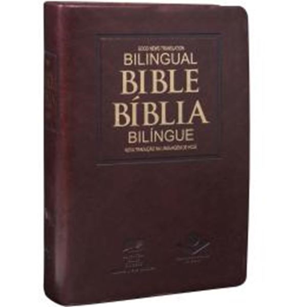 Picture of BIBLIA BILINGUE PORTUGUES – INGLES