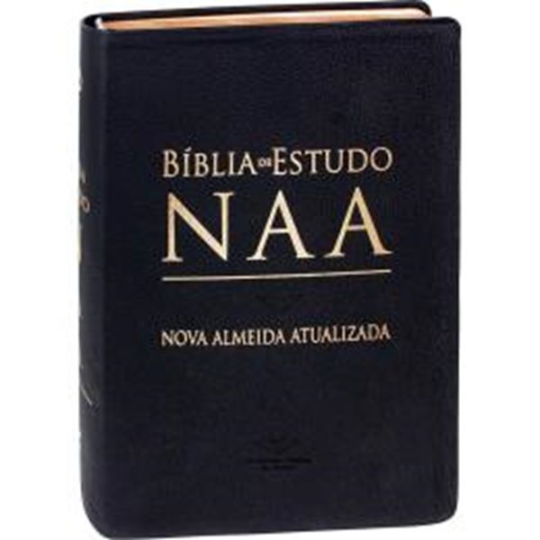 Picture of BIBLIA DE ESTUDO NAA