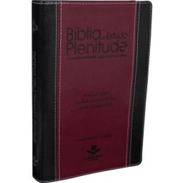 Imagem de BIBLIA DE ESTUDO PLENITUDE - ALMEIDA REVISTA E CORRIGIDA - CAPA PRETA E VINHO