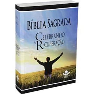 Imagem de BIBLIA SAGRADA CELEBRANDO A RECUPERACAO