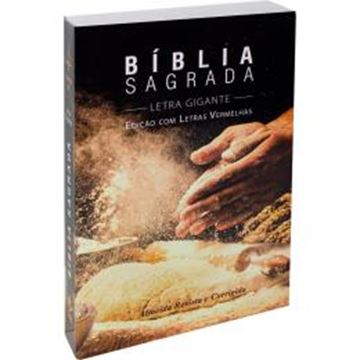 Imagem de BIBLIA SAGRADA LETRA GIGANTE - CAPA ILUSTRADA