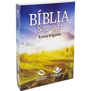 Imagem de BIBLIA SAGRADA LETRA GRANDE - CAPA ILUSTRADA