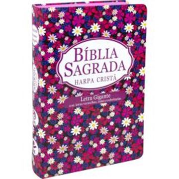 Imagem de BIBLIA SAGRADA LETRA GRANDE COM HARPA CRISTA - CAPA ILUSTRADA FLORIDA