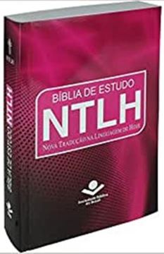 Imagem de BIBLIA DE ESTUDO NTLH - CAPA PINK