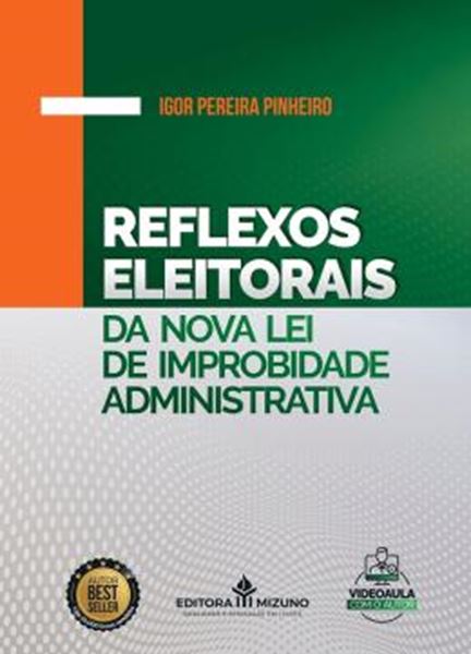 Picture of REFLEXÕES ELEITORAIS DA NOVA LEI DE IMPROBIDADE ADMINISTRATIVA