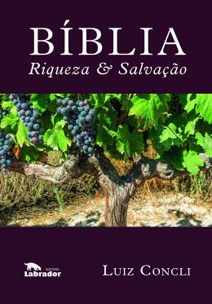 Picture of BIBLIA RIQUEZA E SALVACAO