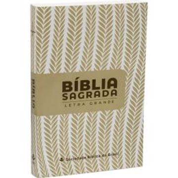 Imagem de BIBLIA LETRA GRANDE CAPA BROCHURA