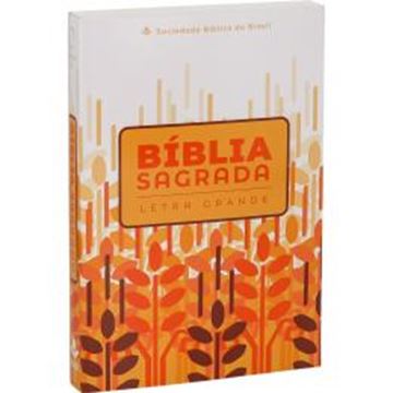 Imagem de BIBLIA LETRA GRANDE CAPA BROCHURA