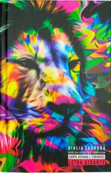 Picture of BIBLIA GIGANTE CAPA DURA ARC COM HARPA  - LEAO GRAFITE COLOR