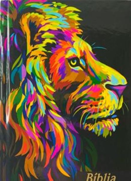 Picture of BIBLIA JOVEM CAPA DURA ARC HARPA E CORINHOS - MOD.04 - LEAO PINTURA PERFIL