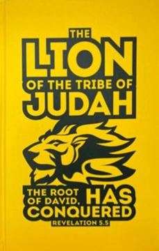 Imagem de BIBLIA JOVEM CAPA DURA COM HARPA MOD 19 JUDAH