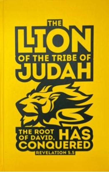 Picture of BIBLIA JOVEM CAPA DURA COM HARPA MOD 19 JUDAH