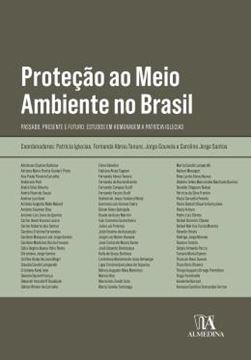 Imagem de PROTECAO AO MEIO AMBIENTE NO BRASIL - PASSADO, PRESENTE E FUTURO: ESTUDOS EM HOMENAGEM A PATRICIA IGLECIAS