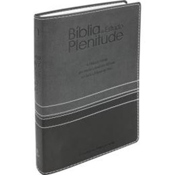 Imagem de BIBLIA DE ESTUDO PLENITUDE COM INDICE: ALMEIDA REVISTA ATUALIZADA (ARA)