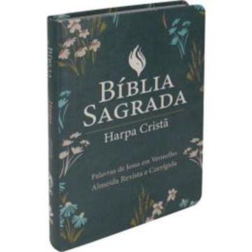 Imagem de BIBLIA SAGRADA LETRA GRANDE COM HARPA CRISTA - CAPA SEMIFLEXIVEL ILUSTRADA - 4ªED