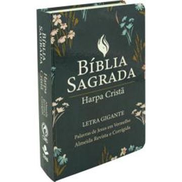 Imagem de BIBLIA SAGRADA LETRA GIGANTE COM HARPA CRISTA - CAPA SEMIFLEXIVEL ILUSTRADA, FLORAL - 4ªED